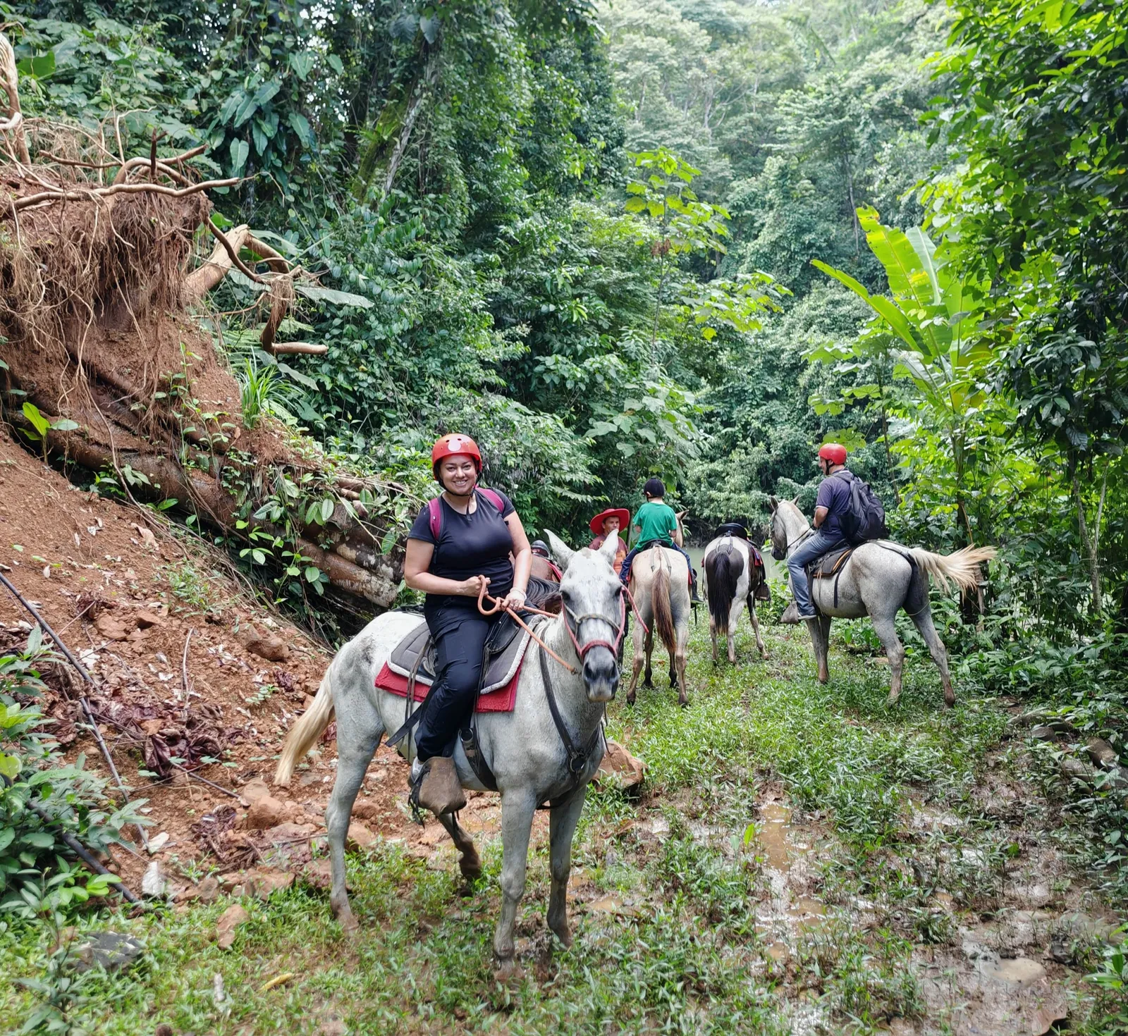 Horseback adventure